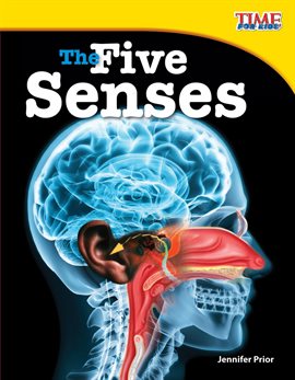 Image de couverture de The Five Senses