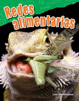 Cover image for Redes Alimentarias