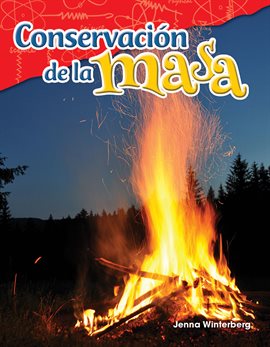 Cover image for Conservación de la masa