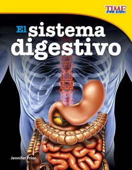 Cover image for El sistema digestivo