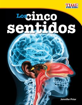 Cover image for Los cinco sentidos