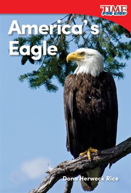Cover image for America's Eagle