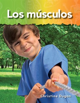 Cover image for Los Músculos