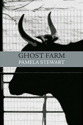 Cover image for The Ghost Farm