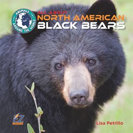 Cover image for All About North American Black Bears