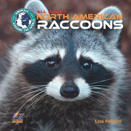 Cover image for All About North American Raccoons