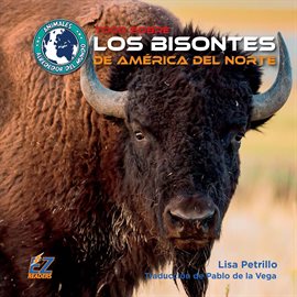 Cover image for Todo sobre los bisontes de América del Norte