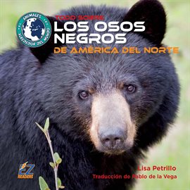 Cover image for Todo sobre los osos negros de América del Norte