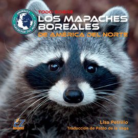 Cover image for Todo sobre los mapaches boreales de América del Norte