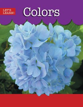 Cover image for Colors
