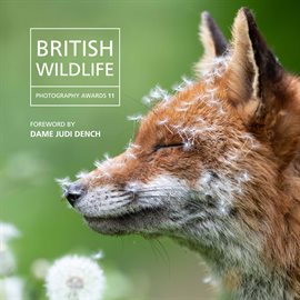 Cover image for British Wildlife Photography Awards 2023
