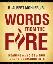 Cover image for Words from the Fire