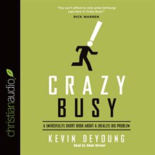 Cover image for Crazy Busy