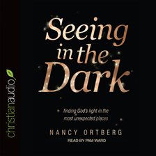 Cover image for Seeing in the Dark