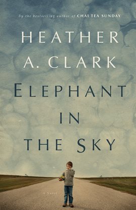 Cover image for Elephant in the Sky