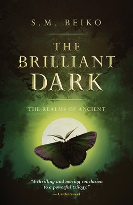 Cover image for The Brilliant Dark