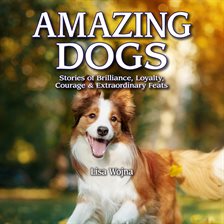 Imagen de portada para Amazing Dogs
