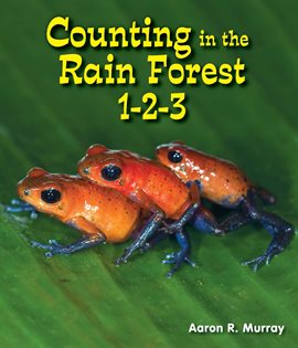 Cover image for Counting in the Rain Forest 1-2-3