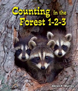 Cover image for Counting in the Forest 1-2-3