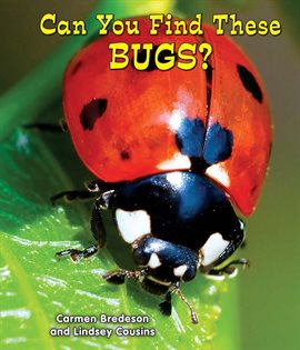 Cover image for Can You Find These Bugs?
