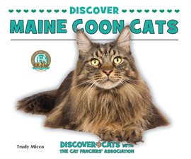 Cover image for Discover Maine Coon Cats