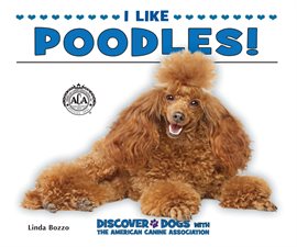 Cover image for I Like Poodles!