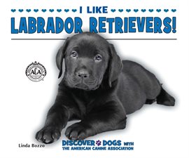 Cover image for I Like Labrador Retrievers!