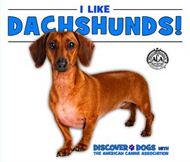 Cover image for I Like Dachshunds!