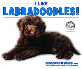 Cover image for I Like Labradoodles!