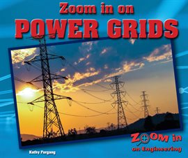 Cover image for Zoom in on Power Grids