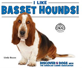 Cover image for I Like Basset Hounds!