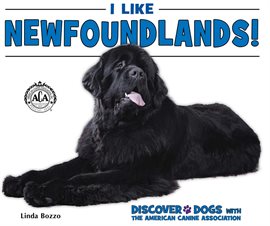 Cover image for I Like Newfoundlands!
