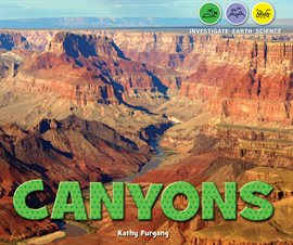 Cover image for Canyons