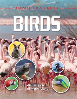 Imagen de portada para Birds