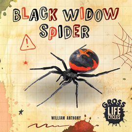 Cover image for Black Widow Spider