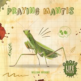 Cover image for Praying Mantis