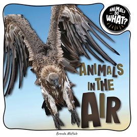 Imagen de portada para Animals in the Air