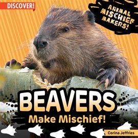 Cover image for Beavers Make Mischief!