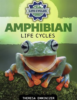 Cover image for Amphibian Life Cycles