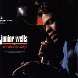 Cover image for It's My Life Baby