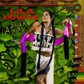 Cover image for Shake Away