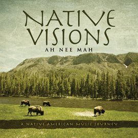 Imagen de portada para Native Visions: A Native American Music Journey