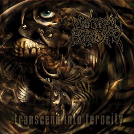 Cover image for Transcend Into Ferocity