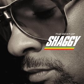 Imagen de portada para The Best Of Shaggy