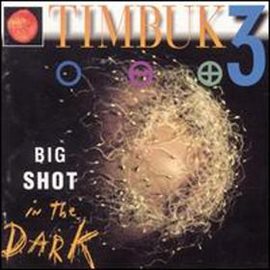 Cover image for Big Shot In The Dark