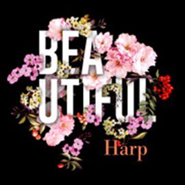 Cover image for Beautiful Harp