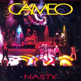 Cover image for Nasty