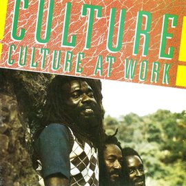 Cover image for Culture At Work