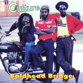 Cover image for Baldhead Bridge