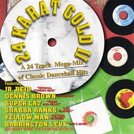 Cover image for 24 Karat Gold II: Classic Dancehall Megamix